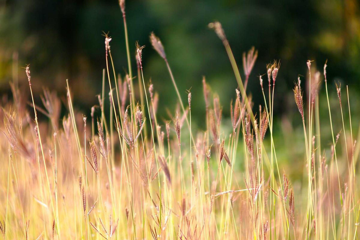 Iceland: Fire, Ice & Northern Lights